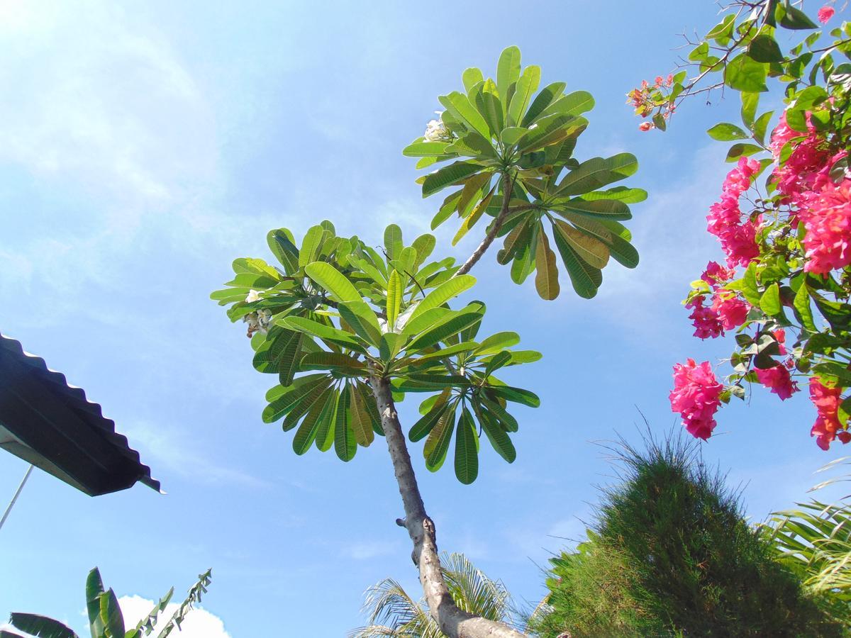 Sister Bungalow Gili Islands Exterior photo